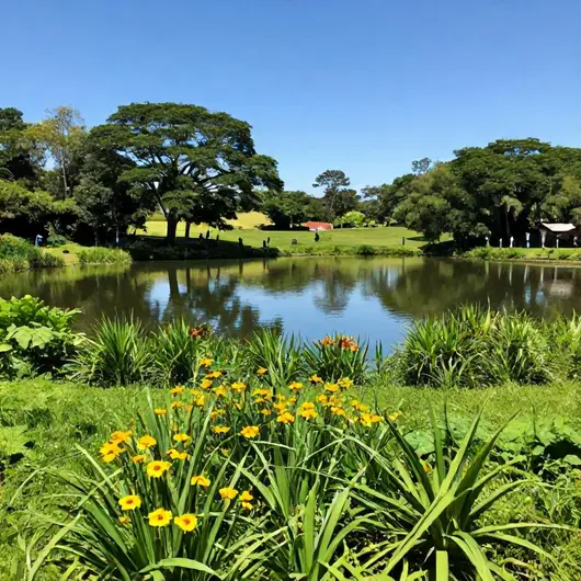 Caça e Pesca Araruama: Um Destino Imperdível para os Amantes da Natureza