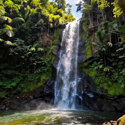 Cachoeira SAMSA: Um Oásis Natural em Araruama