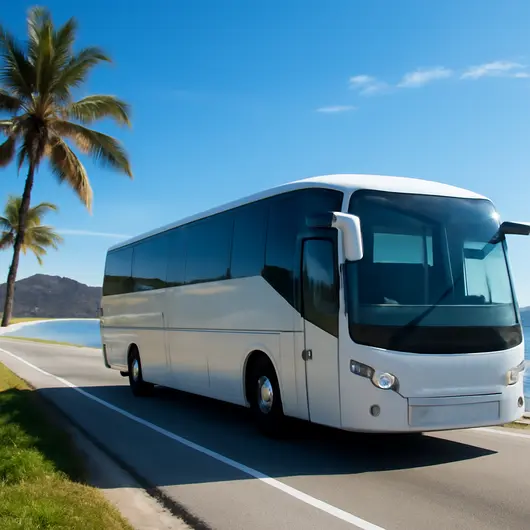 Como Viajar de Ônibus de Cabo Frio para Araruama de Forma Prática