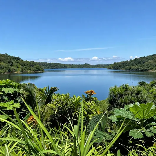 Descubra a Lagoa Pipa