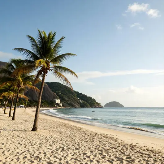 Descubra a Praia das Bananeiras