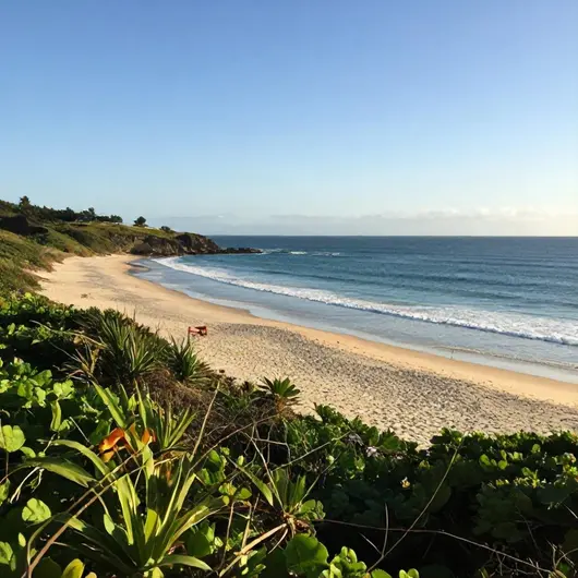 Descubra a Praia Dura e da Barra Beach