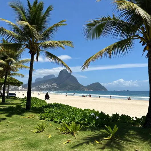 Descubra a Praia Seca Palm Beach