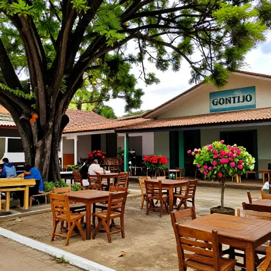 Descubra Gontijo