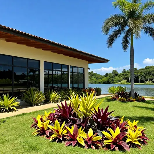 Descubra o LBS Turismo
