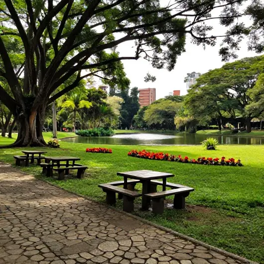 Descubra o Parque Dom Nivaldo Monte