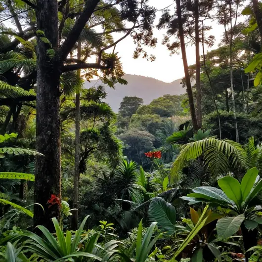 Descubra o Parque Estadual das Trilhas