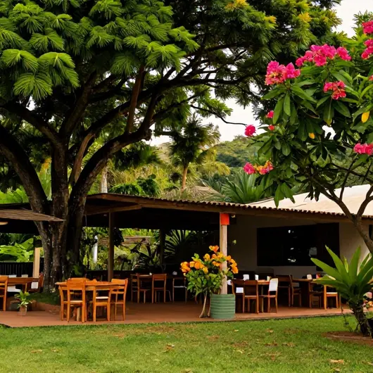 Descubra o Restaurante do Juca