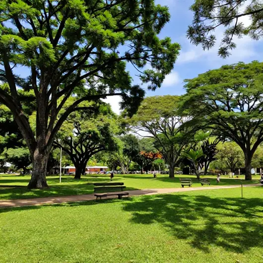 Descubra os Melhores Parques