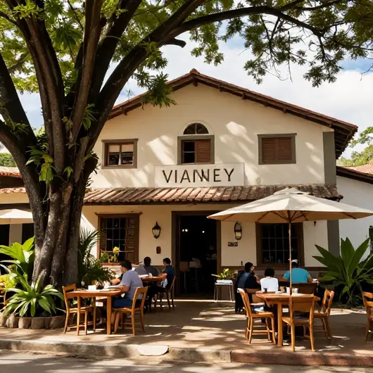 Descubra Vianney