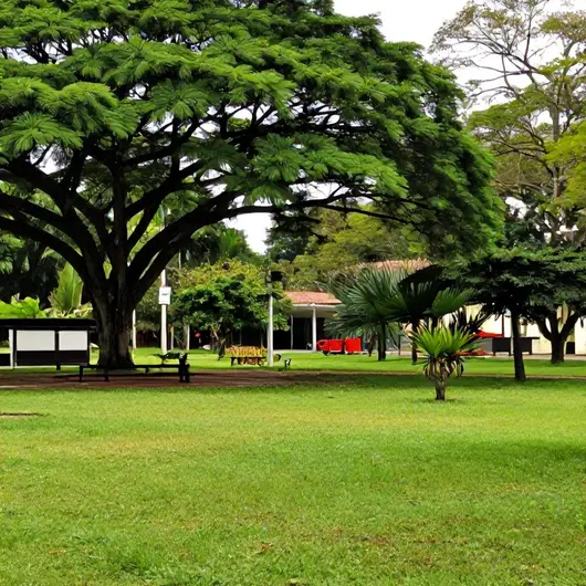Explorando o Parque Municipal de Exposições