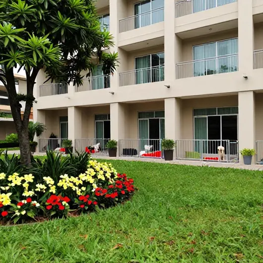 Hotel para Cães com Monitoramento com Câmeras