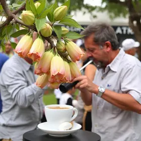 Festival Delícias do Vale do Café
