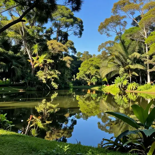 Parque Estadual do Utinga Camillo Vianna: Um Refúgio Natural Para Todos