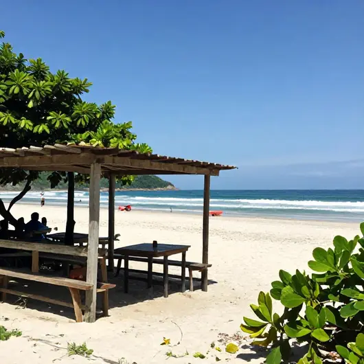 Pescaria Praia do Forte: Um Destino Imperdível