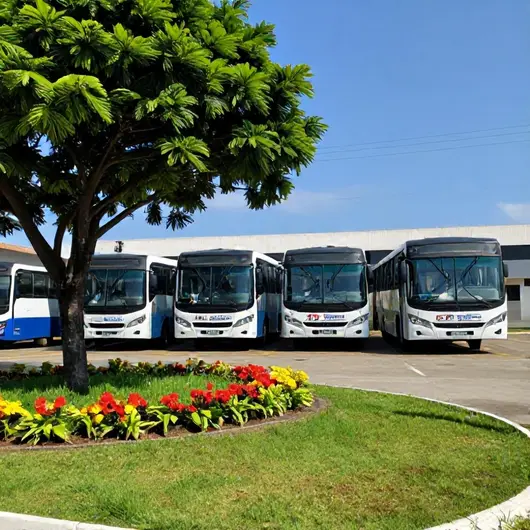 Viação Montes Brancos