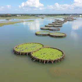 diagnóstico ambiental Lagoa de Araruama