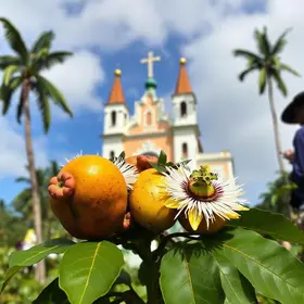 Festival do Maracujá