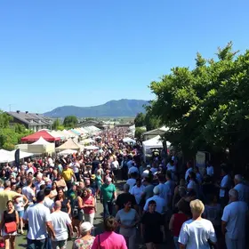 Wine & Jazz Festival